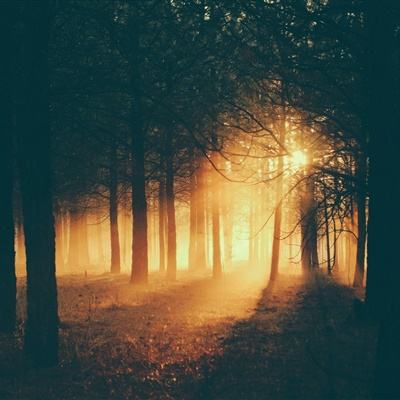 助赢软件手机app下载